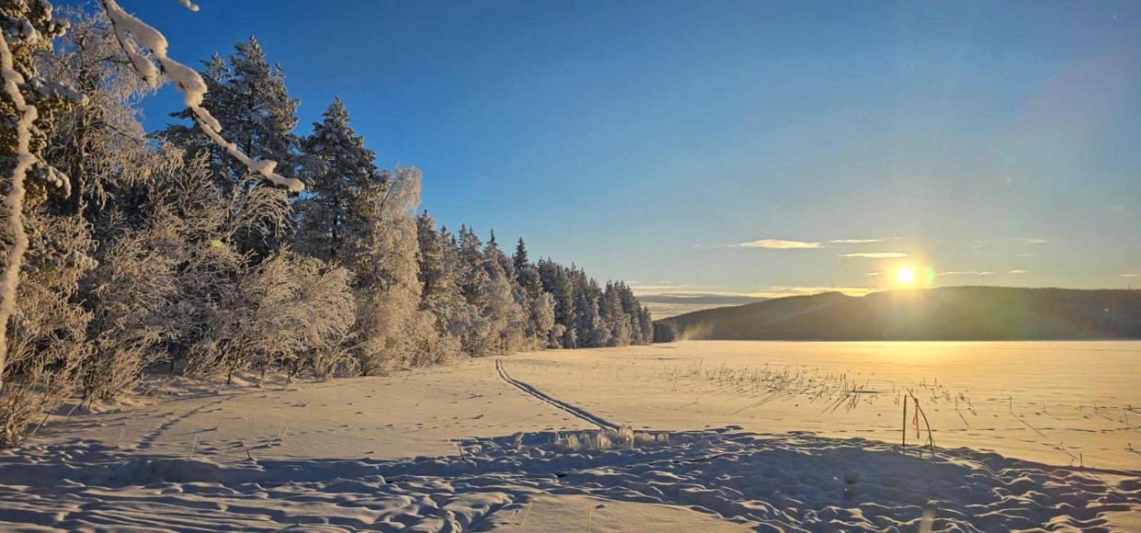 Lakeside Wilderness Cabin Jokkmokk Exteriér fotografie