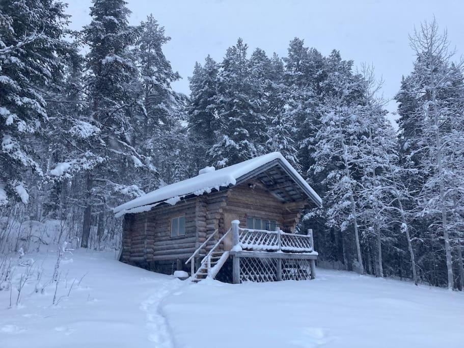Lakeside Wilderness Cabin Jokkmokk Exteriér fotografie