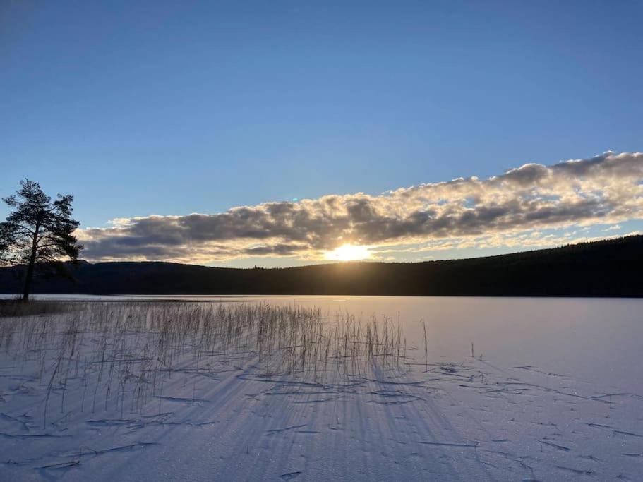 Lakeside Wilderness Cabin Jokkmokk Exteriér fotografie